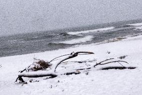 Heavy Snow Covers Beach On Epiphany - Rimini