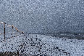 Heavy Snow Covers Beach On Epiphany - Rimini