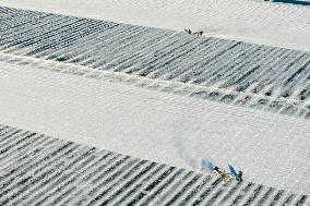 Harbin Ice-Snow World - China