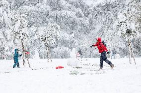 Snowy Landscape - Bologna