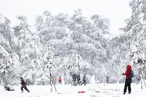 Snowy Landscape - Bologna