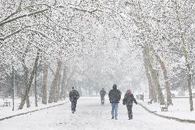 Snowy Landscape - Bologna