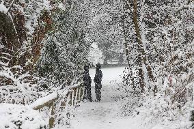 Snowy Landscape - Bologna