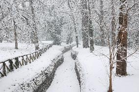 Snowy Landscape - Bologna