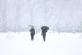 Snowy Landscape - Bologna