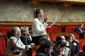 Session of Questions to The Government - Paris