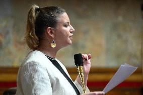 Session of Questions to The Government - Paris