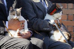 New cat stationmaster