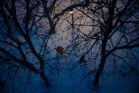 Snowfall Blankets Paris - France