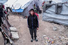 Displaced Palestinians at Gaza Seaport