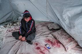 Displaced Palestinians at Gaza Seaport