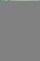 Start of The Winter Sales