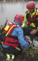 Heavy Rain Causes Red Alert For Aniene River - Rome