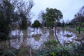 Heavy Rain Causes Red Alert For Aniene River - Rome