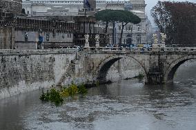Tiber Banks Closed Due To Flooding - Rome