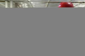 China Manufacturing Industry