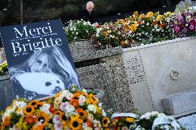 Brigitte Bardot's Grave at The Marine Cemetery - Saint-Tropez