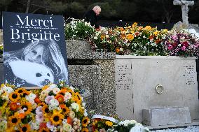 Brigitte Bardot's Grave at The Marine Cemetery - Saint-Tropez