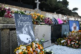 Brigitte Bardot's Grave at The Marine Cemetery - Saint-Tropez
