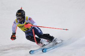 SPORT INVERNALI - Sci Alpino - 2026 Audi FIS Ski World Cup - Men's Slalom