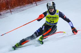 SPORT INVERNALI - Sci Alpino - 2026 Audi FIS Ski World Cup - Men's Slalom
