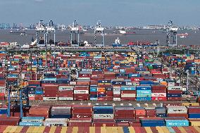 Shanghai Port Container Throughput