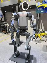 CES tech show in Las Vegas