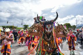 Carnaval de Negros y Blancos 2026 - Floats Parade