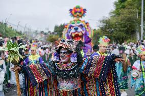 Carnaval de Negros y Blancos 2026 - Floats Parade