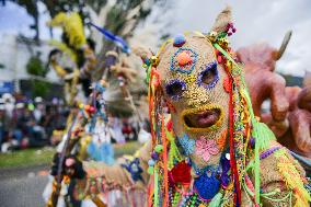 Carnaval de Negros y Blancos 2026 - Floats Parade