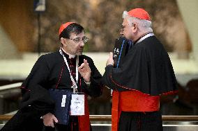 Pope Leo XIV Opens Extraordinary Consistory - Vatican