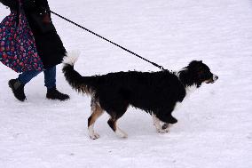 Paris Under The Snow - Eiffel Tower