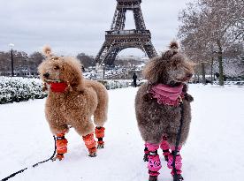 Paris Under The Snow - Eiffel Tower