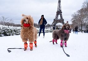 Paris Under The Snow - Eiffel Tower