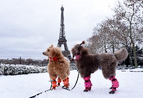 Paris Under The Snow - Eiffel Tower
