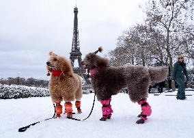 Paris Under The Snow - Eiffel Tower
