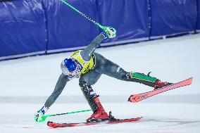 SPORT INVERNALI - Sci Alpino - 2026 Audi FIS Ski World Cup - Men's Slalom