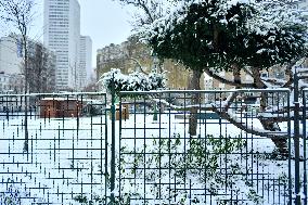 Paris Under The Snow - Paris