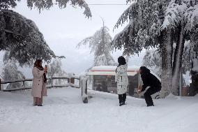 Snowfall in Chrea Mountains - Algeria