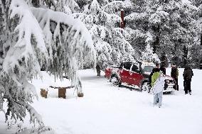 Snowfall in Chrea Mountains - Algeria