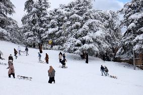 Snowfall in Chrea Mountains - Algeria