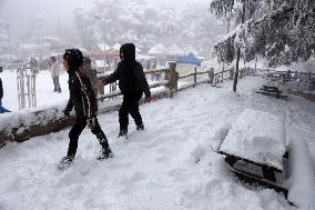Snowfall in Chrea Mountains - Algeria
