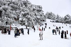 Snowfall in Chrea Mountains - Algeria