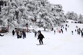 Snowfall in Chrea Mountains - Algeria