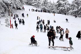 Snowfall in Chrea Mountains - Algeria