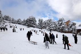 Snowfall in Chrea Mountains - Algeria
