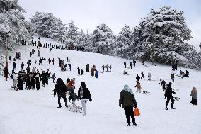 Snowfall in Chrea Mountains - Algeria