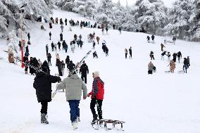 Snowfall in Chrea Mountains - Algeria