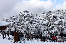 Snowfall in Chrea Mountains - Algeria