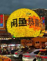 Xianyu Advertisement